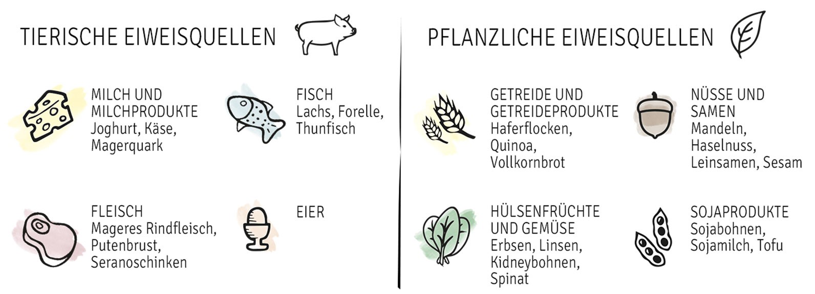 Eiweissquellen tierisch und pflanzlich Grafik