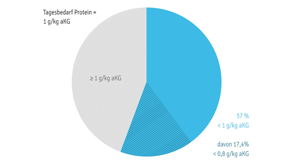 Kalorienzufuhr Kreisdiagramm